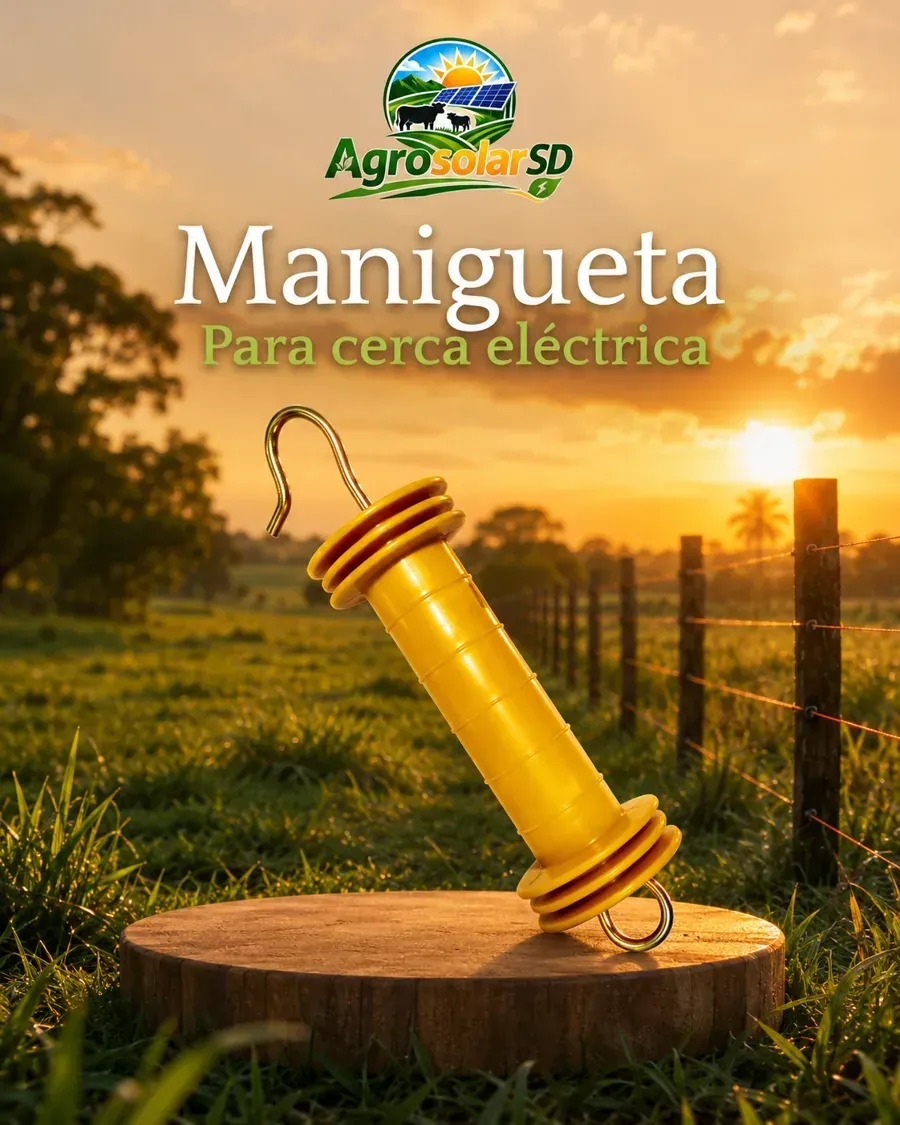 Manigueta y recibidor de manigueta